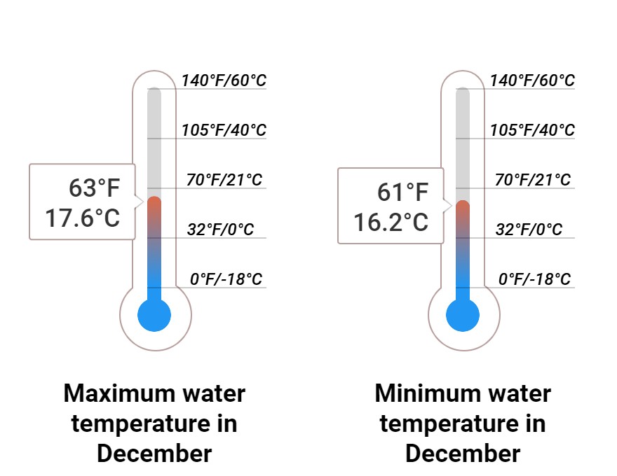 Average Sea temperature